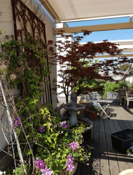 Begrünte Dachterrasse mit japanischem Ahorn und Zierbrunnen – STRAMAN Begrünte Dachterrasse mit rotem japanischem Ahorn, Zierbrunnen, violett blühenden Kletterpflanzen und gemütlichem Sitzbereich.