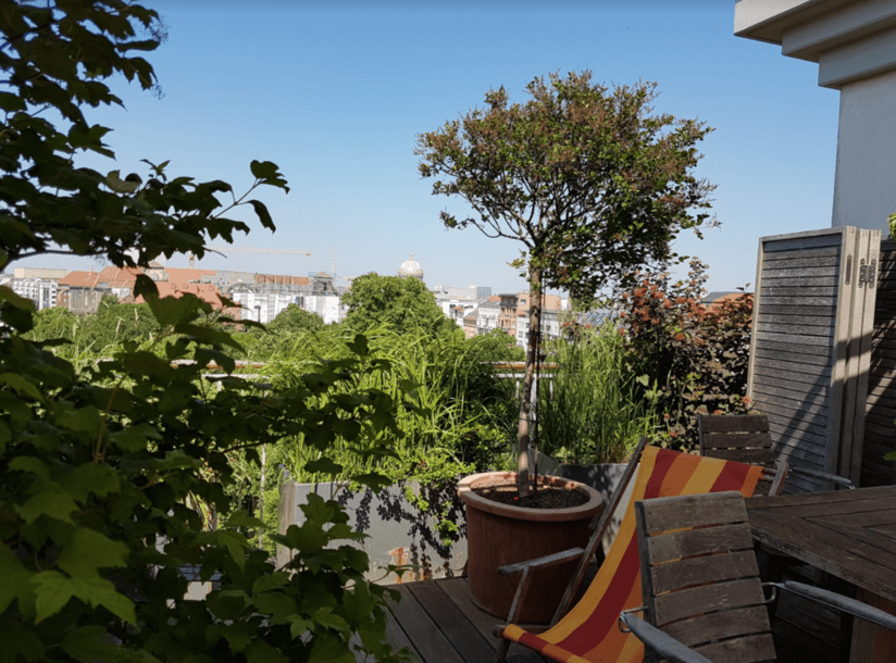 Begrünte Dachterrasse mit Stadtblick Begrünte Dachterrasse mit Kübelbaum, Ziergräsern, Sträuchern und Sitzmöbeln sowie Blick über die Dächer Berlins.