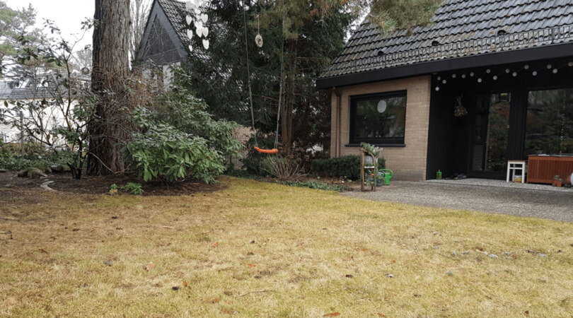 Privatgarten mit Rasenfläche vor Beginn der Gartenumgestaltung.